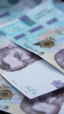 Ukrayna 'nın ulusal para birimi - 1000 Hryvnia, dikey video