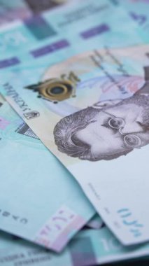 Ukrayna parası - 1000 Hryvnia, yakın plan, dikey video