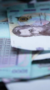 Bin hryvnia - Ukrayna para birimi banknotları, dikey video