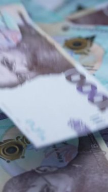 Bin hryvnia - Ukrayna para birimi banknotları, dikey video