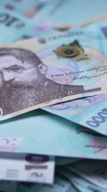 Bin hryvnia - Ukrayna para birimi banknotları, dikey video