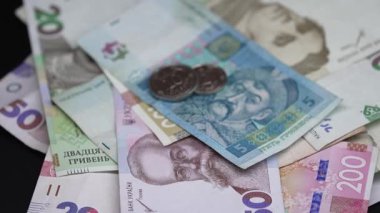 Ukrayna 'nın ulusal para birimi - Hryvnia, yakın plan