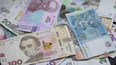 Ukrayna 'nın ulusal para birimi - Hryvnia, yakın plan