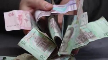 Ukrayna 'nın ulusal para birimi - Hryvnia, yakın plan