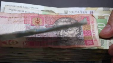 Ukrayna 'nın ulusal para birimi - Hryvnia, yakın plan