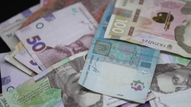 Ukrayna 'nın ulusal para birimi - Hryvnia, yakın plan