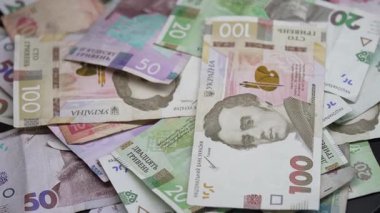 Ukrayna 'nın ulusal para birimi - Hryvnia, yakın plan
