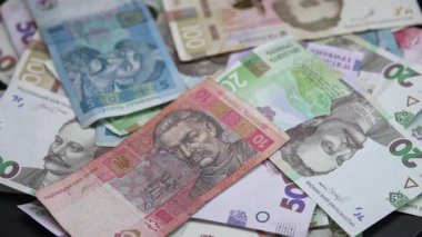 Ukrayna 'nın ulusal para birimi - Hryvnia, yakın plan