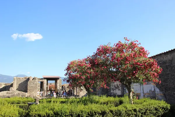 Eski Pompeii şehri, Vezüv, İtalya - 17. 2017.