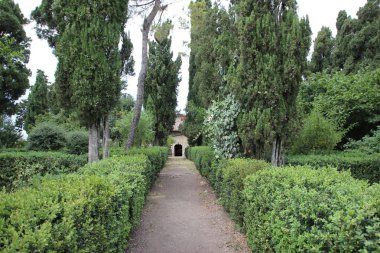 yeşil bitkiler ile eski taş ev