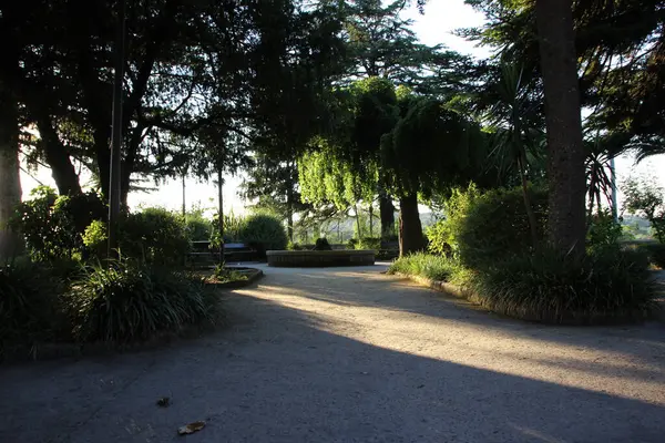Madrid şehrinin park ve bahçeleri İspanya 'da