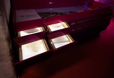  Gdansk 'taki Hevelianum müzesinde aydınlatılmış mineral ve taş örnekleri. Polonya.            