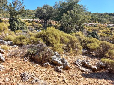 Ege Denizi kıyısındaki Lycian Yolu 'nun manzaraları.