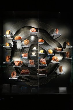 Gdansk Amber Müzesi 'nde nadir bulunan güzel kehribar parçaları.