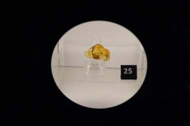 Gdansk, Pomeranya Voyvoda, Polonya - 07 14 2023. Gdansk 'taki Amber Müzesi' nde kehribarın içinde donmuş eski böcekler.