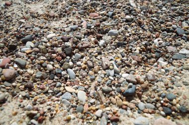 Baltık Denizi kıyısındaki çakıl taşlarının arasında kehribar parçaları var..