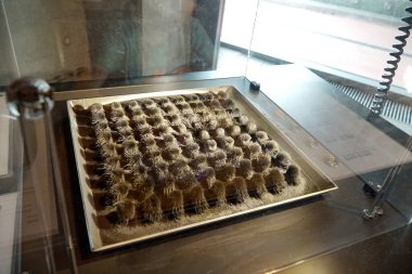 Varşova 'daki Kopernik Bilim Merkezi' nde yapılan ses ve diğer fiziksel deneylerle ilgili bilimsel kurulum. Polonya