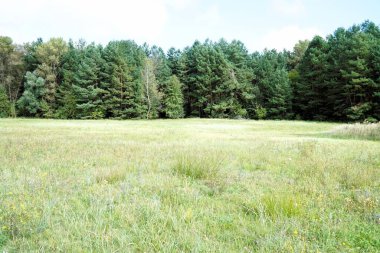 Ukrayna 'da sonbahar başları