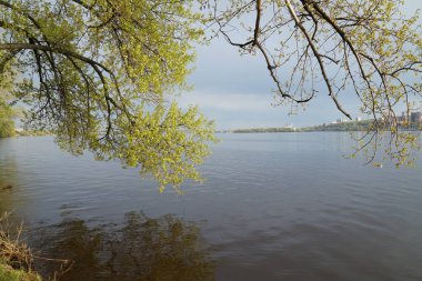 Dnipro city and Dnipro river after rain clipart