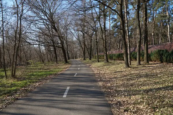 Avrupa 'da sonbahar sonu manzarası