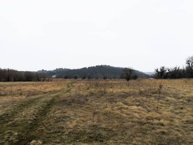 Orta Ukrayna 'da bahar manzaraları.