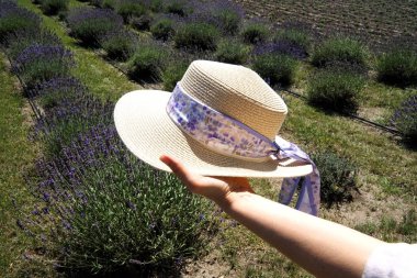 Eflatun arka planda kadın şapkası