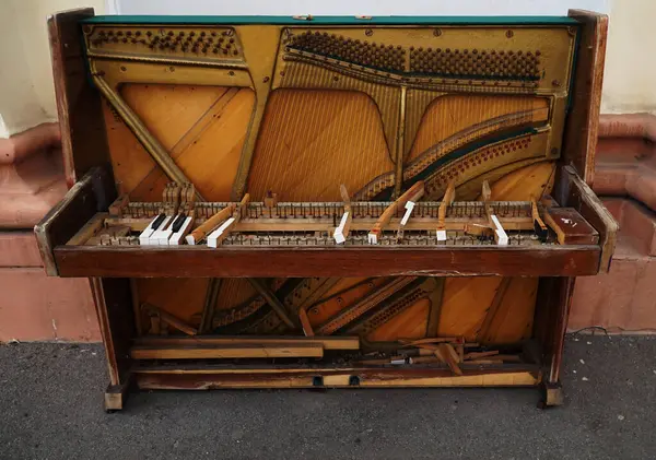  Piyanonun iç mekanizmasının telleri                