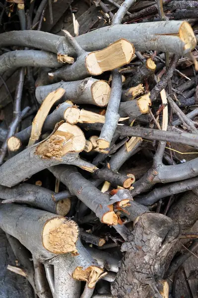 Sobayı ısıtmak için odun kestim.