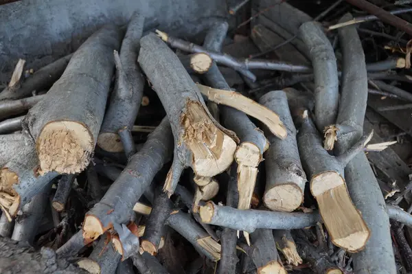 Sobayı ısıtmak için odun kestim.