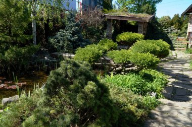 Baharda parlak yeşil çimlerin arka planı    