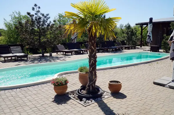 Yazın dinlenmek için havuz kenarında güneşlenirler.             