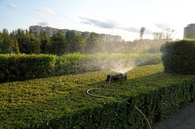 Bahçeyi ve çimleri sulamak için..