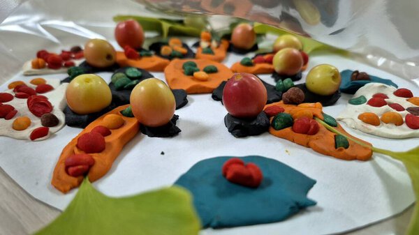 Children's crafts made of plasticine on paper.