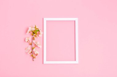 Kayısı dalı ve beyaz çerçeve pembe arkaplanlı ve yazı için yeri var. Bahar konsepti, mevsimlik, fotokopi alanı. Yukarıdan görüntüle.