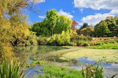 Bason Botanik Bahçeleri Havuzu Aydınlık bir sonbahar gününde Gölün etrafındaki ağaçtaki sonbahar renklerini gösterir.