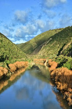 Manawatu Gorge Manzarası Nehrin sol tarafında demiryolu ve eski yoldan geriye kalanlar. Nehir ağaçlarında kış turuncusu rengi.