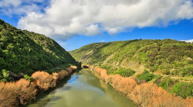 Manawatu nehri kışın Manawatu vadisinden akar, nehir kıyısındaki ağaçlar güzel turuncu renktedir..
