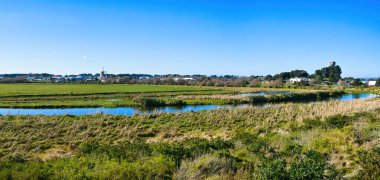 Foxton, Yeni Zelanda nehir döngüsü sulak alanlar, Foxton 'ın arka planında iki ana simge, yel değirmeni ve su kulesi.