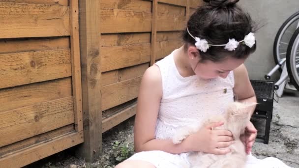 宠物和主人之间感人的一刻一只蓬松的米色小猫坐在它的怀里吻着它的主人的鼻子 小女孩在花园外面和小猫玩耍 — 图库视频影像
