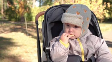 Sonbahar parkında bebek arabasındaki küçük bebek dışarıda yürüyor. Küçük çocuk dışarıda çerez yiyor. Çocuklar sonbahar ormanlarında vakit geçirir. Soğuk Hava Kameralarına bakın. Çocukluk, Aile, Yemek Zamanı