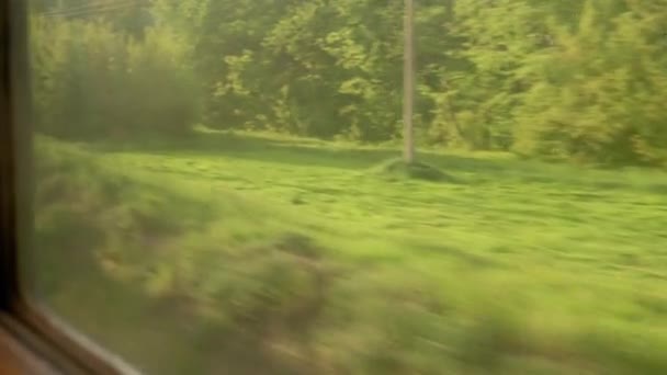 从高速列车的窗口眺望美丽的大自然 野外和森林的风景 在暮色的暮色中 天空在夏夜的背景下日落 通信概念 — 图库视频影像