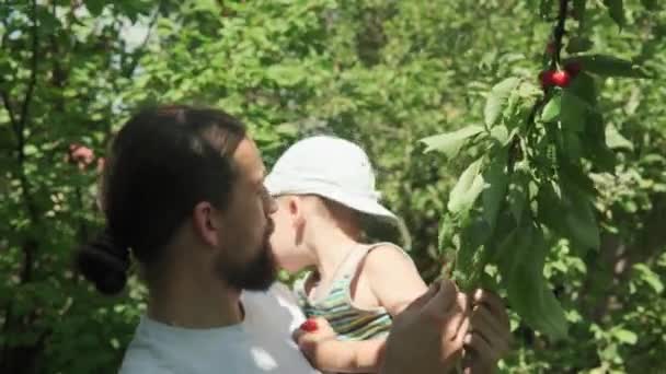Mladý Táta Krmí Dítě Vesnické Zahradě Letní Slunečný Den Otec — Stock video