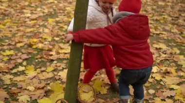 Parktaki ormanda sonbahar havasının tadını çıkaran iki komik oğlan çocuğu. Kardeşler, düşen yaprakları toplar, çocuklar el ele tutuşarak ağacın etrafında dans eder..