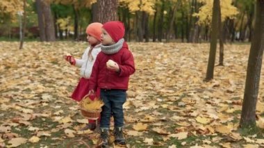 Küçük okul öncesi öğrencisi kız ve ekose sarısı yapraklı gülümseyen oğlan sepetli piknik yapan çocuklar meyveli elma yiyor sonbahar parkında hava durumuna bakıyor. Aile, Sonbahar Hasat Konsepti.