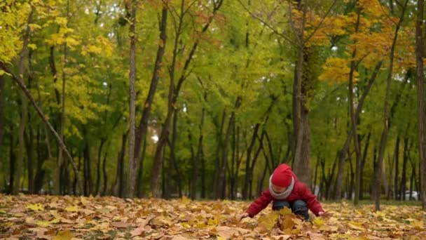 Garçon Enfant Drôle Heureux Marchant Dans Parc Profitant Automne Automne — Video