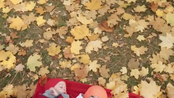 小さな就学前の子供の兄弟の女の子の男の子笑顔は 秋の公園でカメラを見て赤いリンゴの果物を食べるバスケットピクニックの子供たちで遊んだ倒れた葉で休息をします 秋の収穫 — ストック動画