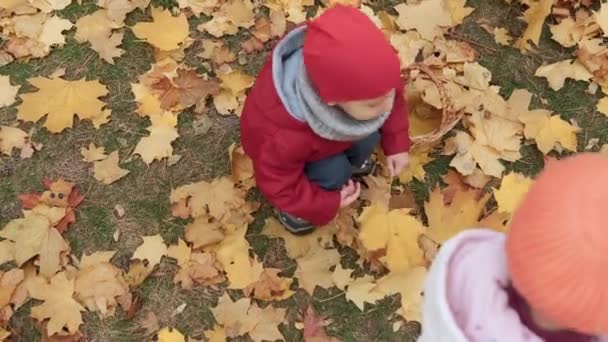 秋の自然を楽しむ公園の森を歩く2つの幸せな面白い子供たち少年少女天候 木の後ろに隠れて遊んでキノコの収穫を探して バスケットに落ち葉を収集します — ストック動画