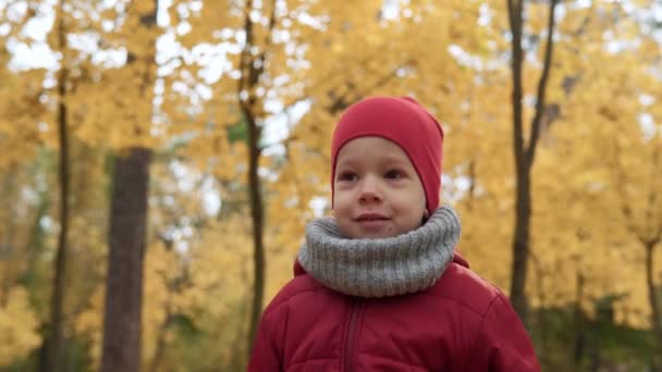 Gelukkig Grappig Kind Wandelen Park Bos Genieten Herfst Herfst Natuur — Stockvideo