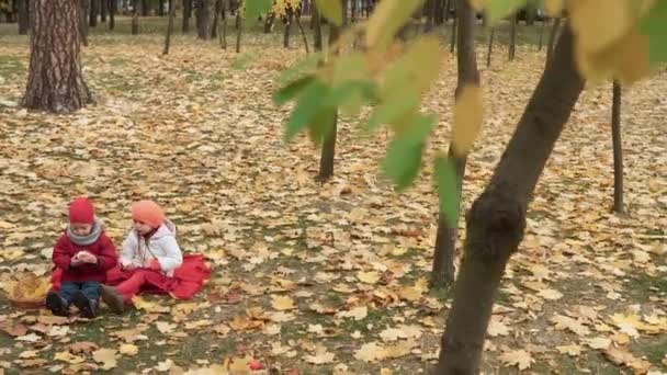 Pequena Criança Pré Escolar Irmãos Menina Menino Sorrindo Folhas Caídas — Vídeo de Stock