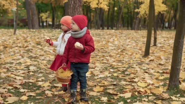 小さな就学前の子供の兄弟の女の子と男の子は遊んだ黄色の落ち葉で笑っていますバスケットピクニック子供たち秋の公園でカメラの天気を見て赤いリンゴを食べています 秋の収穫コンセプト — ストック動画